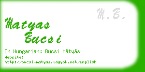 matyas bucsi business card